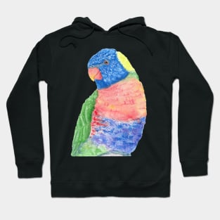 Watercolor rainbow lorikeet parrot watercolor portrait Hoodie